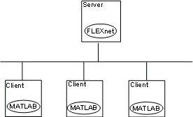 A local client-server network. The FLEXnet license manager is installed on the
                    server, and MATLAB is installed on three clients. 