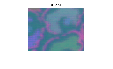 Figure contains an axes. The axes with title 4:2:2 contains an object of type image.