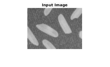 Figure contains an axes. The axes with title Input Image contains an object of type image.