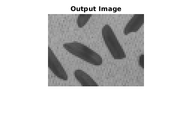 Figure contains an axes. The axes with title Output Image contains an object of type image.