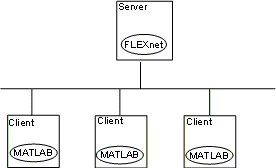 A local client-server network. The FLEXnet license manager is installed on the server, and MATLAB is installed on three clients.
