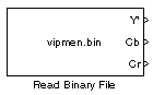 Read Binary File block