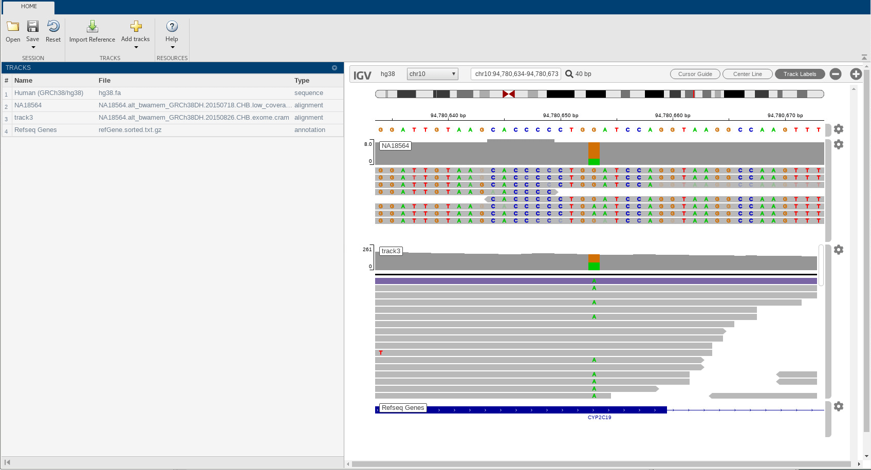 The tracks panel now shows the fourth track for the alignment data that was loaded. IGV also shows the additional track for the added alignment data.