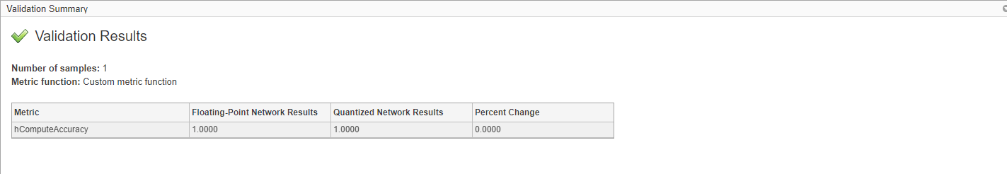 Deep Network Quantizer validation with custom metric function