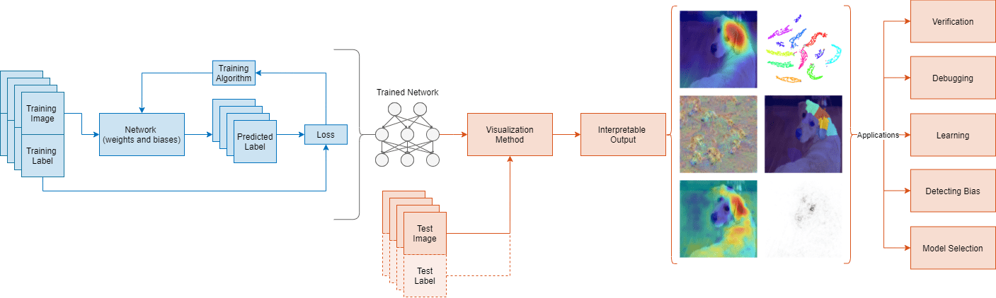 Workflow for taking a trained network and a set of test images and producing interpretable output