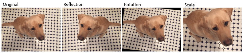 From left to right, the figure shows the original image, the reflected image, the rotated image, and the scaled image.