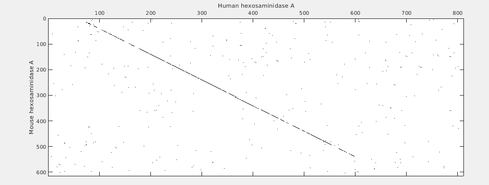 Aligning Pairs of Sequences