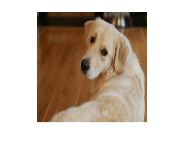 Figure contains an axes object. The axes object contains an object of type image.