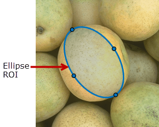 Blue Ellipse ROI drawn over a round object in an image.