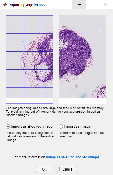 The Importing Large Images dialog box in the Image Labeler.