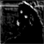 Example visualization of activations on an image of a dog. The eyes and nose of the dog appear white and the rest of the image is black.
