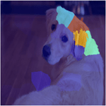 Example visualization of LIME technique on an image of a dog. The image highlights segments of the ear and head of the dog.