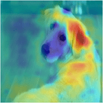 Example visualization of occlusion sensitivity heat map on an image of a dog. The map highlights the ear and body of the dog.
