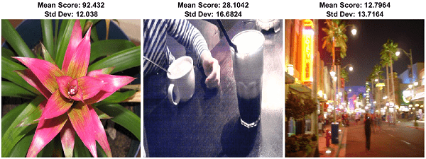 Three images of varying quality, with mean and standard devation of subjective quality scores