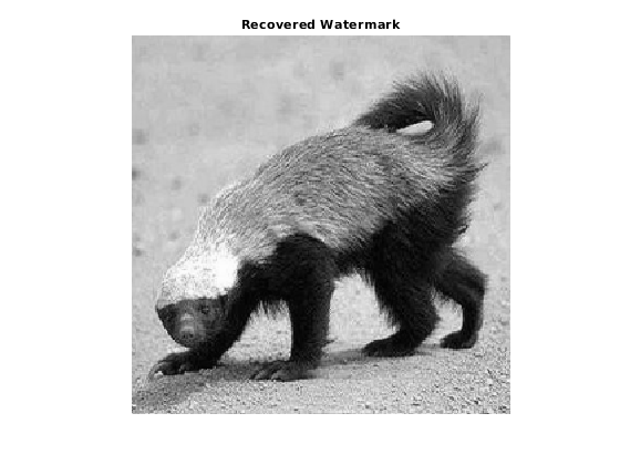 Преобразования Хаара для данных временных рядов и изображений