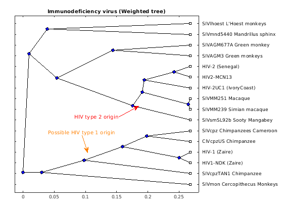 Analyzing the Origin of the Human Immunodeficiency Virus