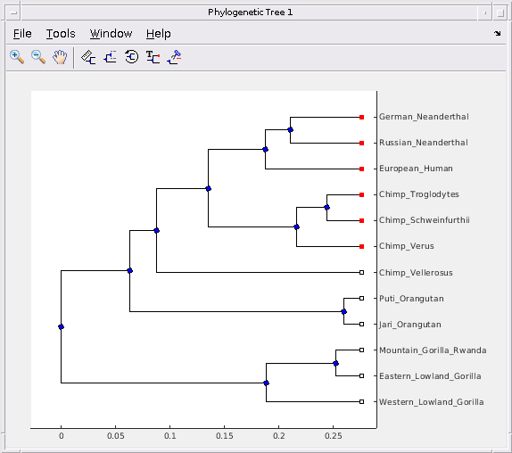 Building a Phylogenetic Tree for the Hominidae Species