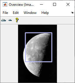 Overview tool with blue detail rectangle over a portion of the image