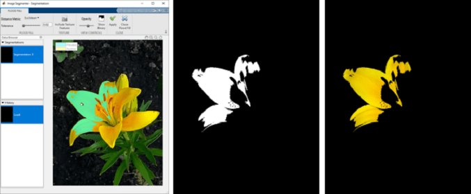 Image Segmenter app showing a preview of the flood fill region over the original image, with interactive controls for the seed point and tolerance.