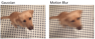 The image with a Gaussian blur is on the left. The image with a directional motion blur is on the right.