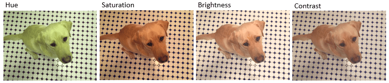 From left to right, the figure shows the original image with random adjustments to the image hue, saturation, brightness, and contrast.