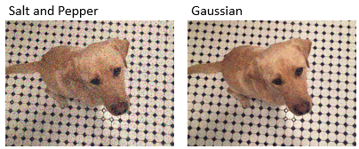 The image with randomly added salt and pepper noise is on the left. The image with randomly added Gaussian noise is on the right.