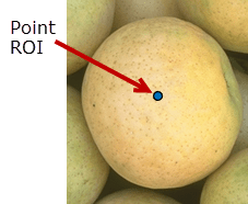 Blue Point ROI drawn near the center of an object in an image.