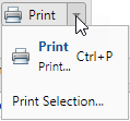 App designer print options menu.