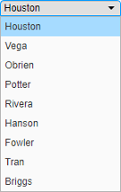 Drop-down list containing a list of 8 last names.