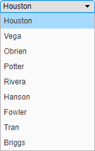 Drop-down list containing 9 last names