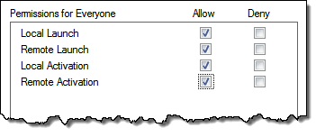 Permissions allowing local and remote launch and activation