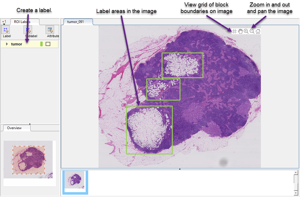 How to label a blocked image in the Image Labeler.