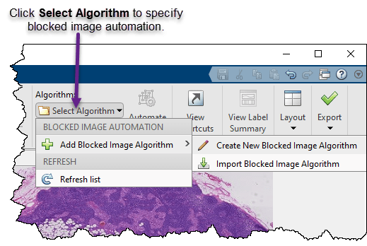 Select Blocked Image Automation in the Image Labeler.